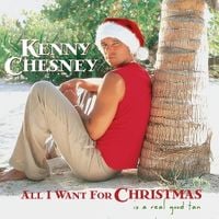 Produktbild: All I Want For Christmas Is A Real Good Tan