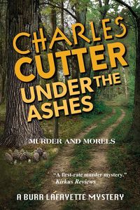 Produktbild: Under the Ashes