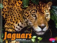 Produktbild: Jaguars