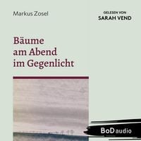 Produktbild: B&auml;ume am Abend im Gegenlicht