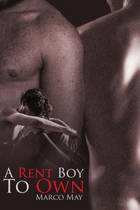 Produktbild: A Rent Boy to Own
