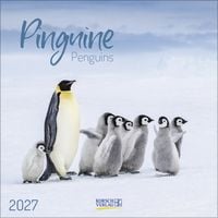 Produktbild: Pinguine 2027