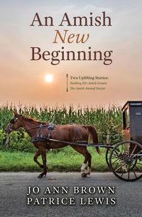 Produktbild: An Amish New Beginning