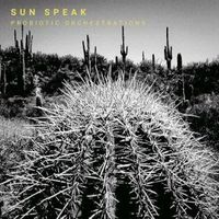 Produktbild: Sun Speak: Probiotic Orchestrations