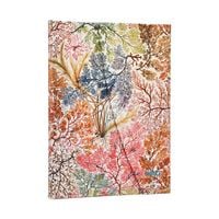 Produktbild 12-Monatskalender 2027 Anemone Midi Verso
