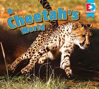 Produktbild: A Cheetah's World