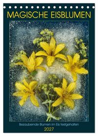 Produktbild: Magische Eisblumen (Tischkalender 2027 DIN A5 hoch), CALVENDO Monatskalender