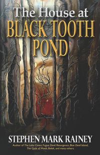 Produktbild: The House at Black Tooth Pond