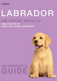 Produktbild: Neville, D: Labrador
