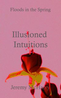 Produktbild: Illusioned Intuitions