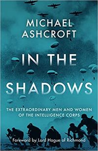 Produktbild: In the Shadows