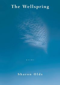 Produktbild: The Wellspring
