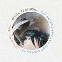 Produktbild: White Feathers