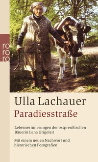 Bild vom Artikel Paradiesstraße vom Autor Ulla Lachauer