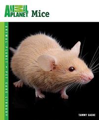 Produktbild: Mice