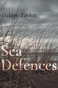 Produktbild: Sea Defences