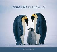 Produktbild: Penguins in the Wild
