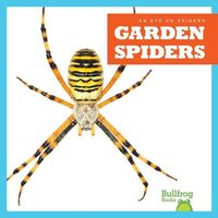 Produktbild: Garden Spiders