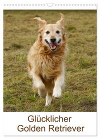 Produktbild: Gl&uuml;cklicher Golden Retriever (Wandkalender 2026 DIN A3 hoch), CALVENDO Monatskalender