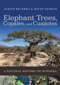 Produktbild: Elephant Trees, Copales, and Cuajiotes