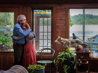 Der Wolf und der Löwe