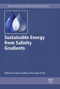 Produktbild: Sustainable Energy from Salinity Gradients
