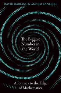 Produktbild: The Biggest Number in the World
