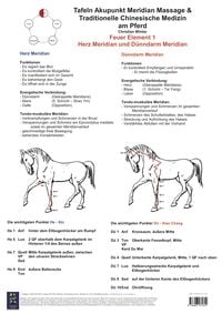 Produktbild: Feuer Element 1. Herz und D&uuml;nndarm Meridian.