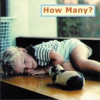 Produktbild: How Many?