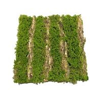 Produktbild: HTI-Living Moosmatte Flora06, Kunstpflanze Moosmatte Flora06, Kunstpflanze