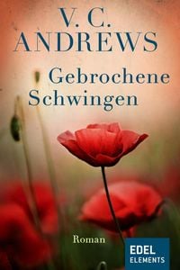 Produktbild: Gebrochene Schwingen