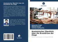 Produktbild: Anatomischer &Uuml;berblick &uuml;ber die Brustdr&uuml;se der Ziege