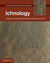 Produktbild: Ichnology