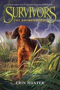 Produktbild: Survivors 04: The Broken Path