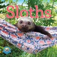 Produktbild: Original Sloths Mini Wall Calendar 2027