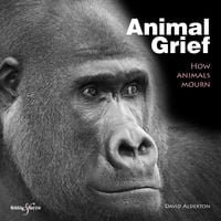 Produktbild: Animal Grief