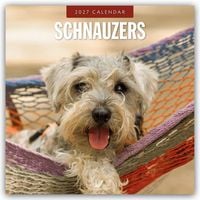 Produktbild: Schnauzer 2027 &ndash; 16-Monatskalender