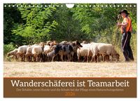 Produktbild: Wandersch&auml;ferei ist Teamarbeit (Wandkalender 2026 DIN A4 quer), CALVENDO Monatskalender