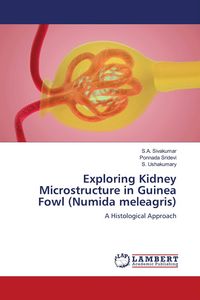 Produktbild: Exploring Kidney Microstructure in Guinea Fowl (Numida meleagris)