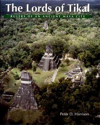 Produktbild: Lords of Tikal