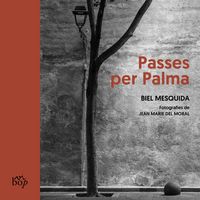 Produktbild: Passes per Palma