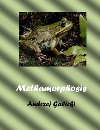 Produktbild: Metamorphosis