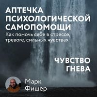 Produktbild: Aptechka psihologicheskoy samopomoshchi: CHuvstvo gneva