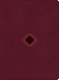 Produktbild: CSB Day-By-Day Chronological Bible, Burgundy Leathertouch