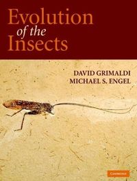 Produktbild: Evolution Of The Insects New/e