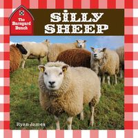 Produktbild: Silly Sheep