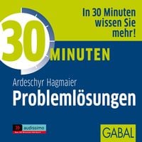 Bild vom Artikel 30 Minuten Problemlösungen vom Autor Ardeschyr Hagmaier