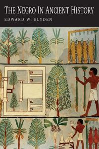 Produktbild: The Negro in Ancient History