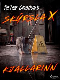 Produktbild: Sk&yacute;rsla X - Kjallarinn