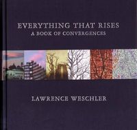 Produktbild: Everything That Rises